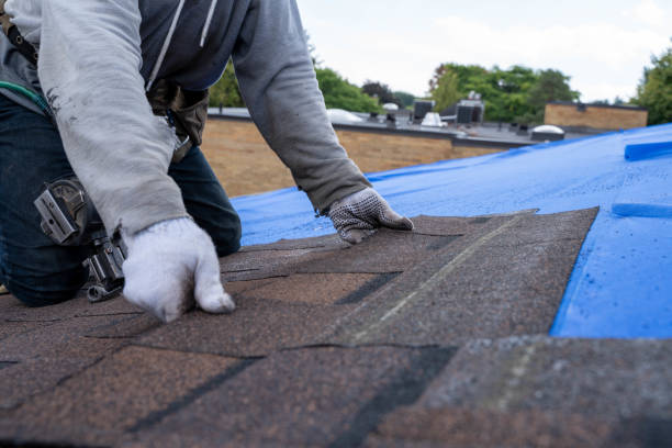 Best Emergency Roof Repair  in Kelseyville, CA
